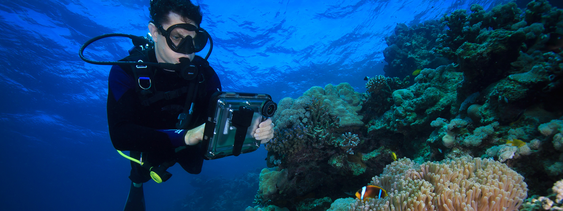 diver swimming over coral and taking pictures with the idive ipad housing